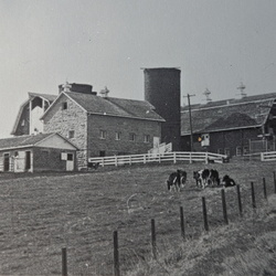 Farm & Luster Hts